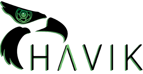 HAVIK Solutions